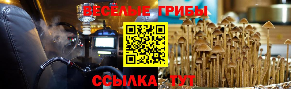 Иркутск  Псилоцибиновые грибы ЛСД  Вход с VPN 